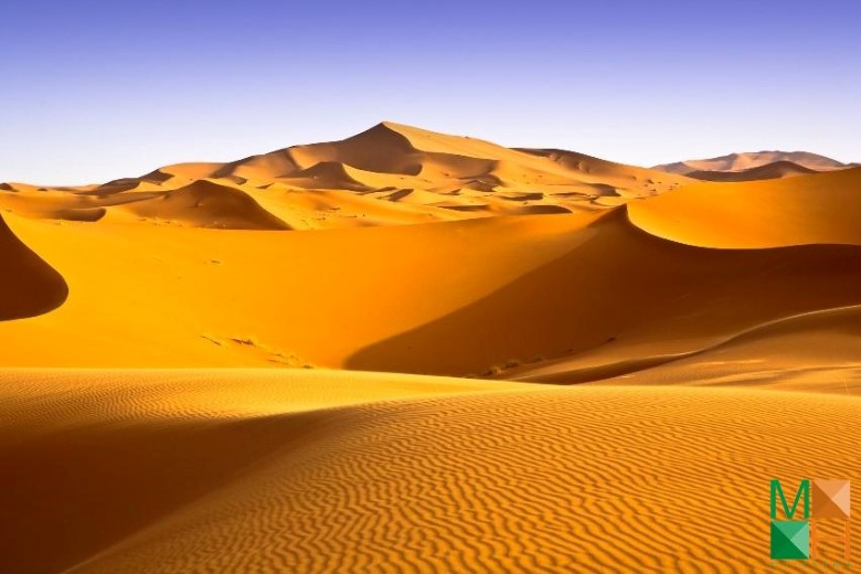 Tranh dán tường Hàn Quốc 3d khổ lớn ở Hà Nội NA - 431